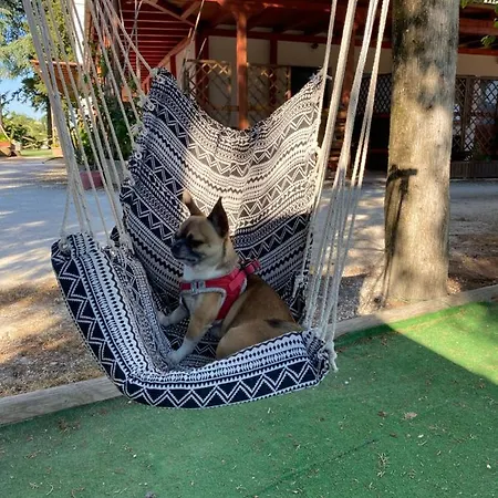 Gasthof Colle Sul Lago Cingoli